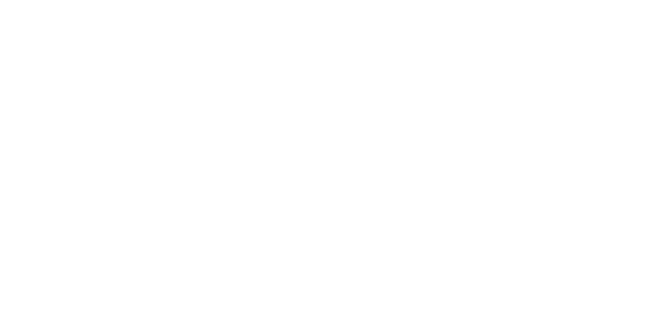 KronoVox Merch